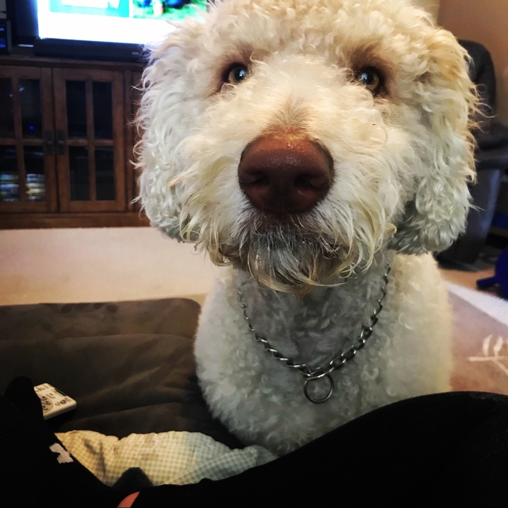 Meet your Posher, Jennifer